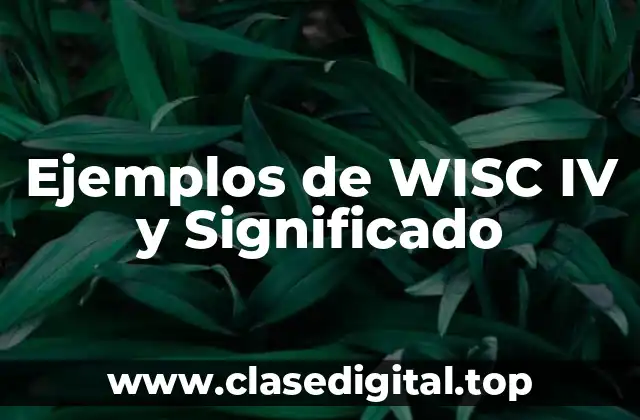 Ejemplos de WISC IV y Significado