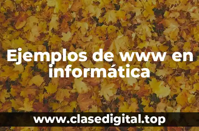 Ejemplos de www en informática