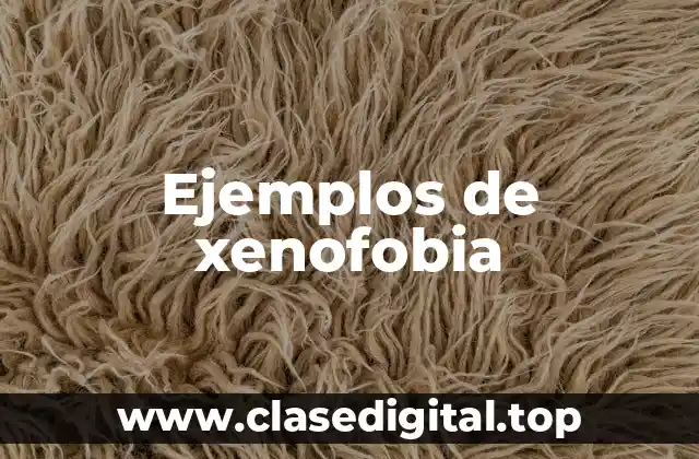Ejemplos de xenofobia