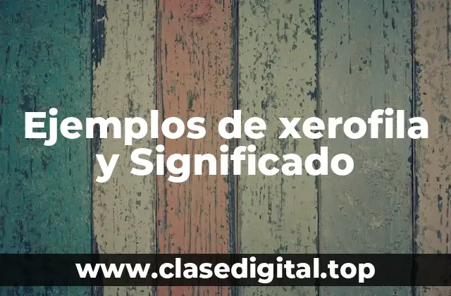 Ejemplos de xerofila y Significado