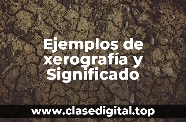 Ejemplos de xerografía y Significado