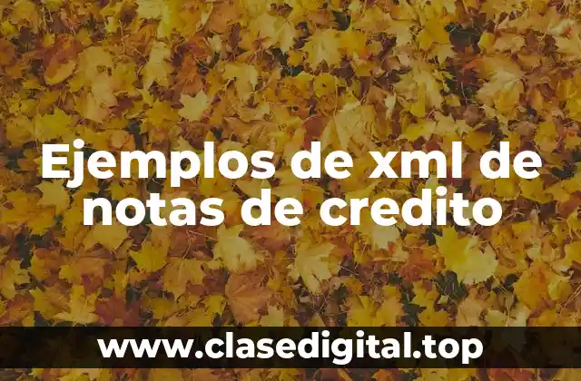 Ejemplos de xml de notas de credito