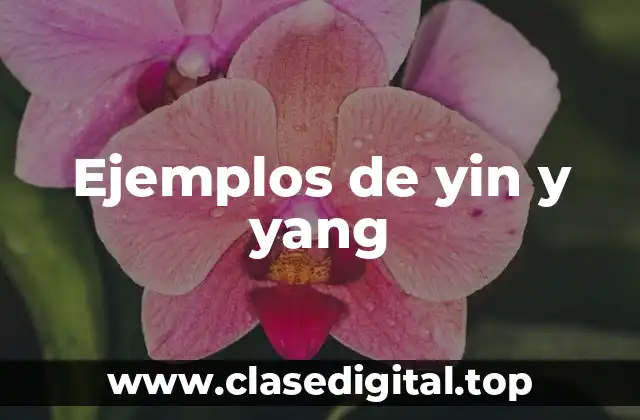 Ejemplos de yin y yang