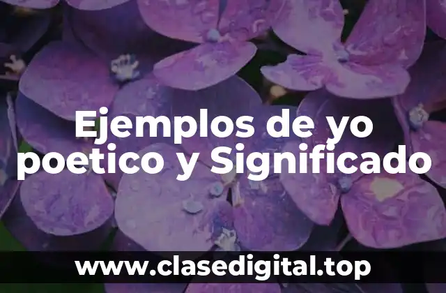 Ejemplos de yo poetico y Significado