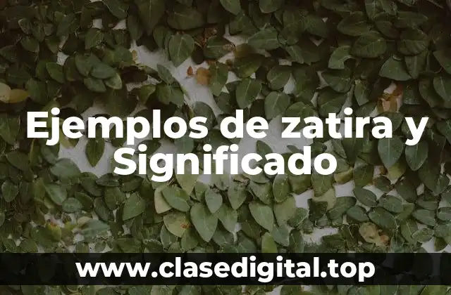Ejemplos de zatira y Significado