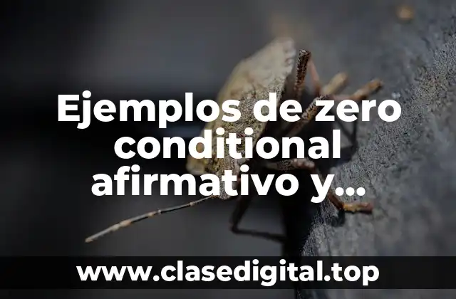 Ejemplos de zero conditional afirmativo y Significado