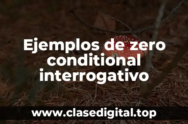Ejemplos de zero conditional interrogativo