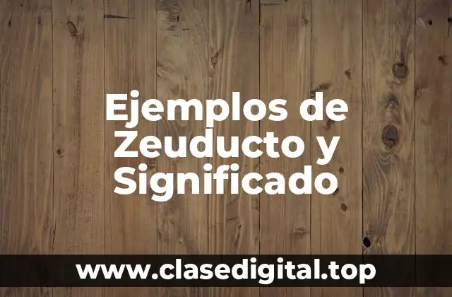 Ejemplos de Zeuducto y Significado