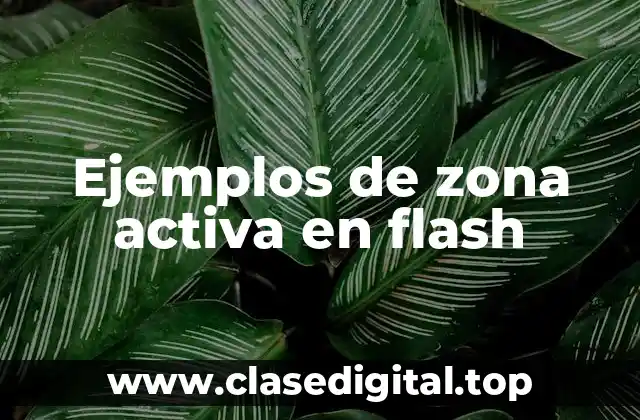 Ejemplos de zona activa en flash