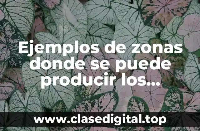 Ejemplos de zonas donde se puede producir los mosquitos