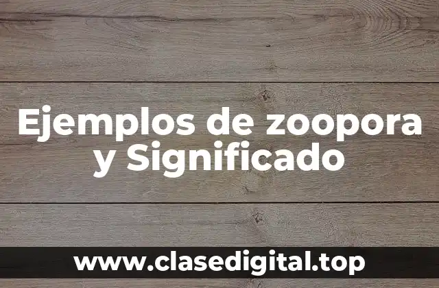 Ejemplos de zoopora y Significado