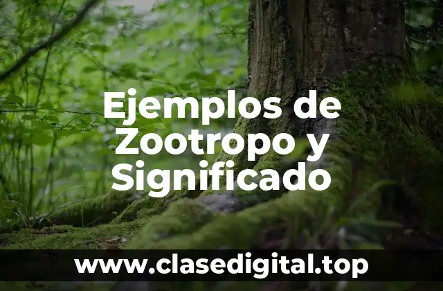 Ejemplos de Zootropo y Significado