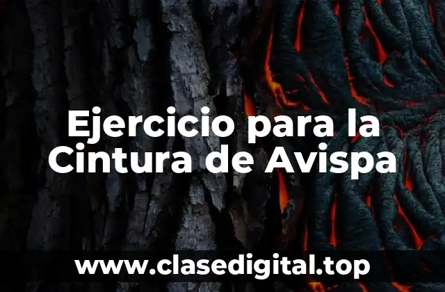 ¿Qué es la Cintura de Avispa y por qué es Importante?