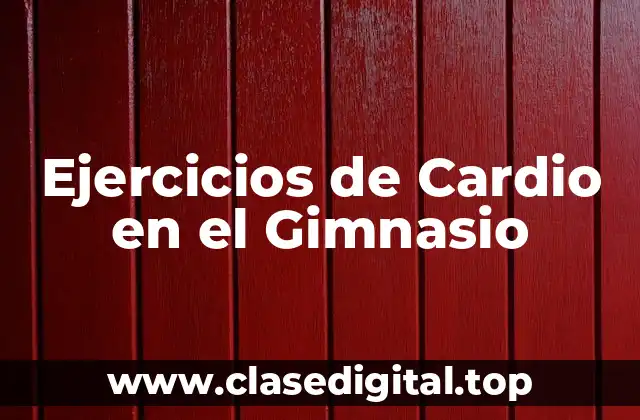 Ejercicios de Cardio en el Gimnasio