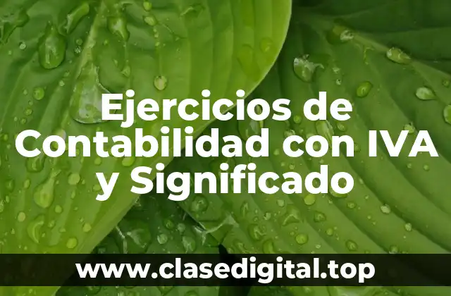 Ejercicios de Contabilidad con IVA y Significado