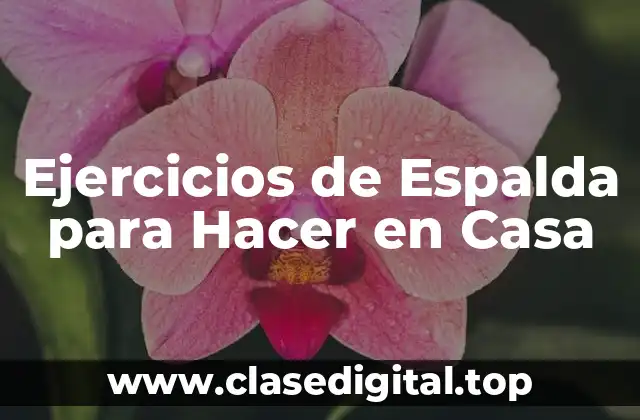 Ejercicios de Espalda para Hacer en Casa