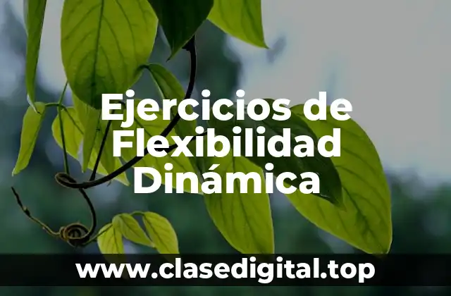 Ejercicios de Flexibilidad Dinámica