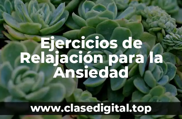 Ejercicios de Relajación para la Ansiedad