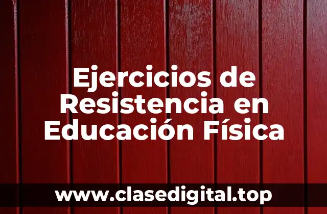 Ejercicios de Resistencia en Educación Física