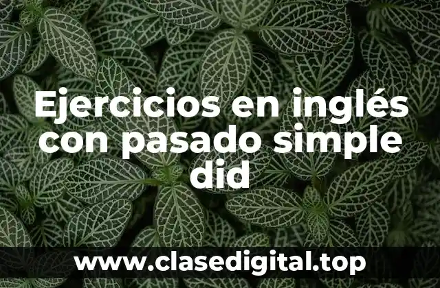 Ejercicios en inglés con pasado simple did
