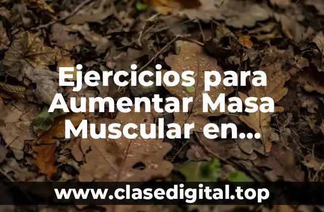Ejercicios para Aumentar Masa Muscular en Hombres