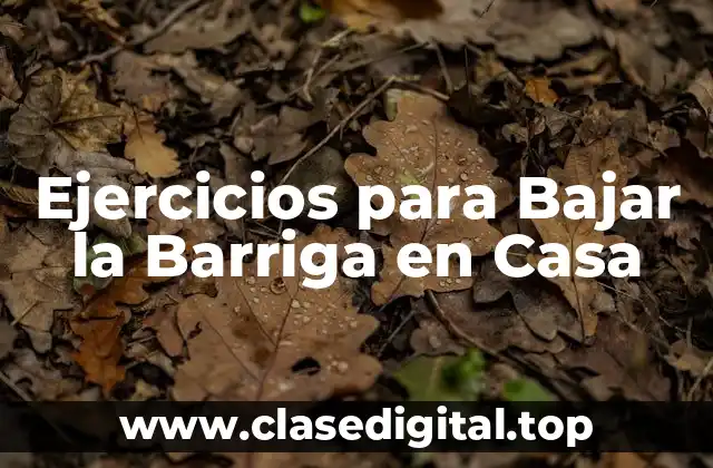 Ejercicios para Bajar la Barriga en Casa