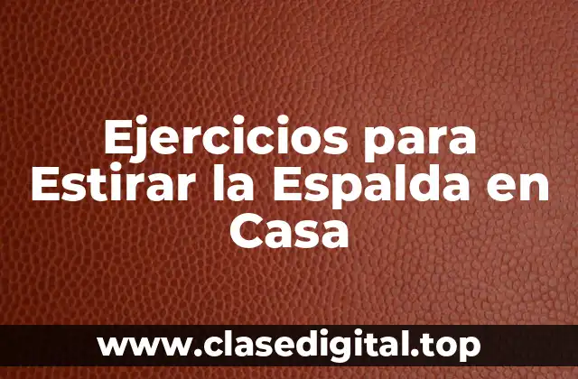 ¿Por qué es Importante Estirar la Espalda?