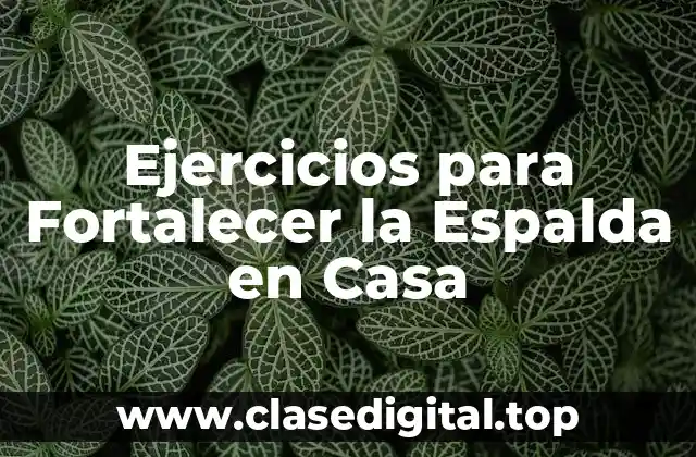 Ejercicios para Fortalecer la Espalda en Casa
