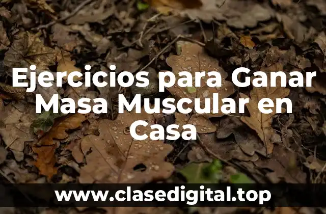 Ejercicios para Ganar Masa Muscular en Casa