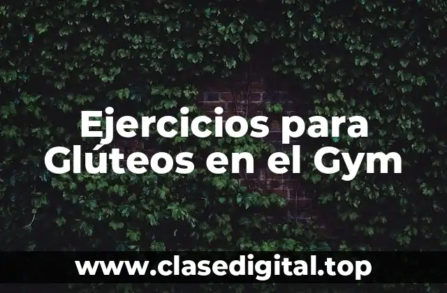 ¿Por qué son Importantes los Ejercicios para Glúteos?
