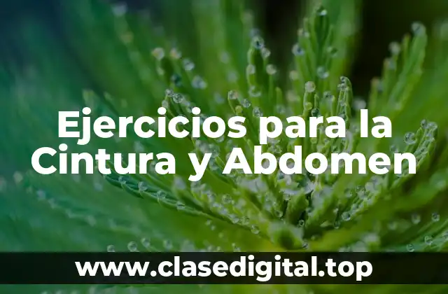 Ejercicios para la Cintura y Abdomen