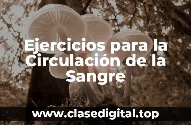 Ejercicios para la Circulación de la Sangre
