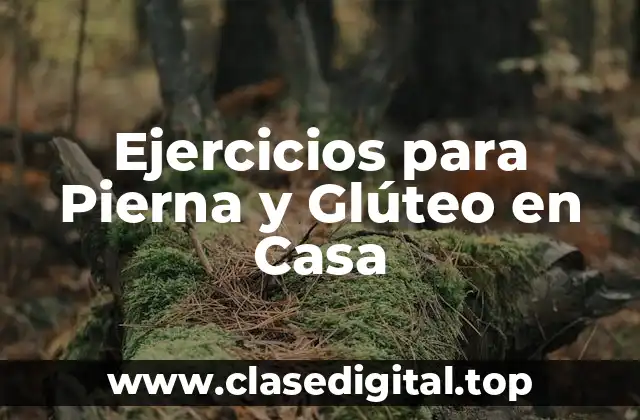 Ejercicios para Pierna y Glúteo en Casa