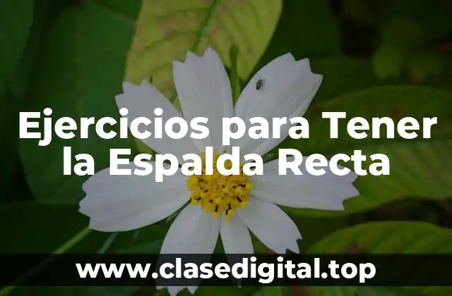 Ejercicios para Tener la Espalda Recta