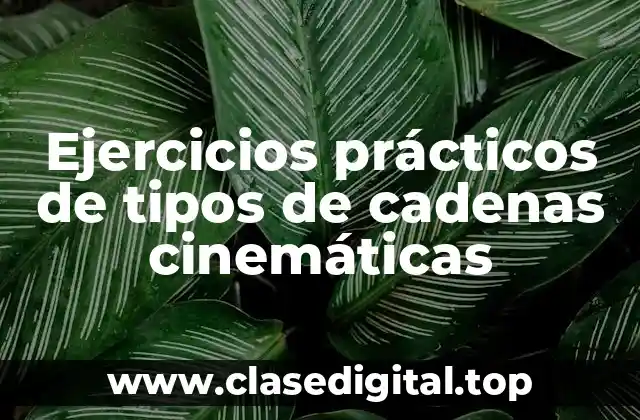 Ejercicios prácticos de tipos de cadenas cinemáticas