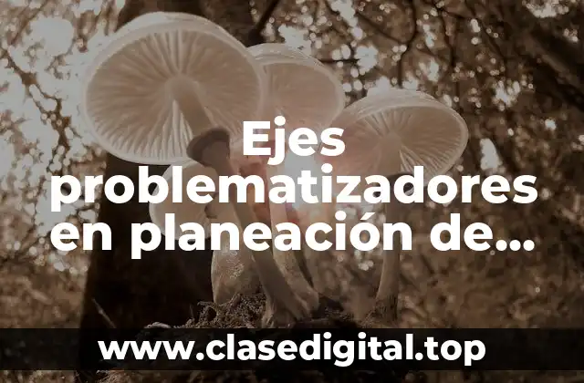 Ejes problematizadores en planeación de materia TICs