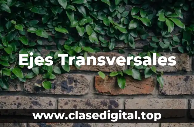 Ejes Transversales
