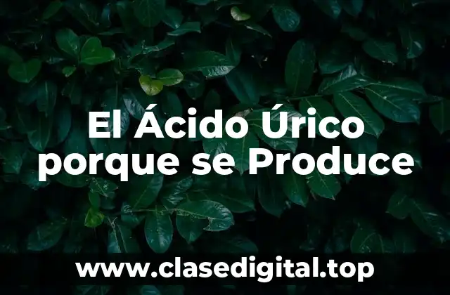 El Ácido Úrico porque se Produce
