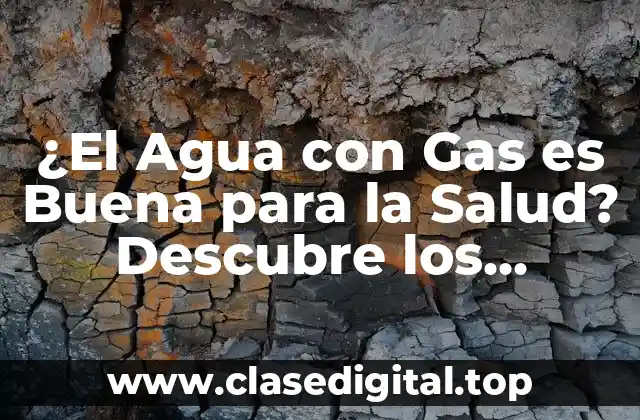 Orígenes y Componentes del Agua con Gas