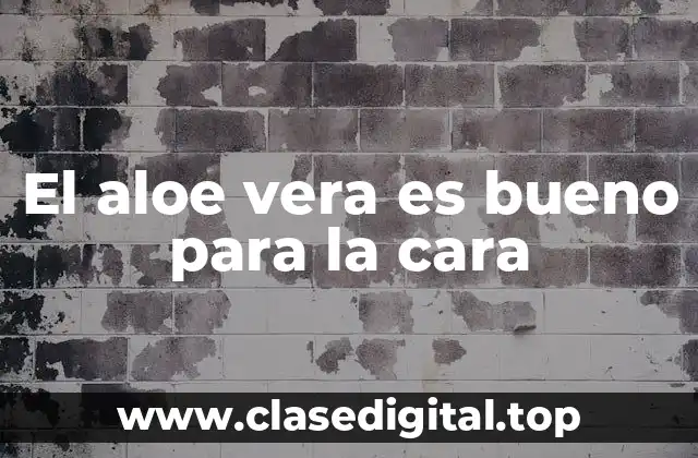 El aloe vera es bueno para la cara