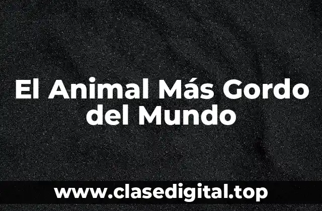 ¿Qué hace que un animal sea considerado gordo?