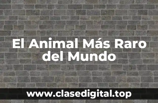 El Animal Más Raro del Mundo
