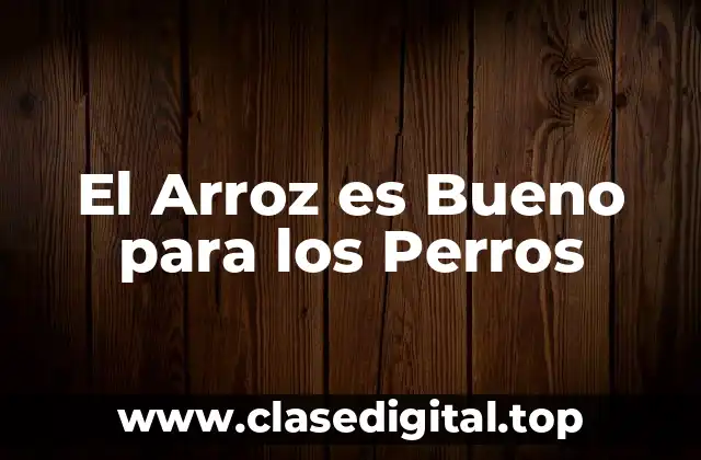 El Arroz es Bueno para los Perros