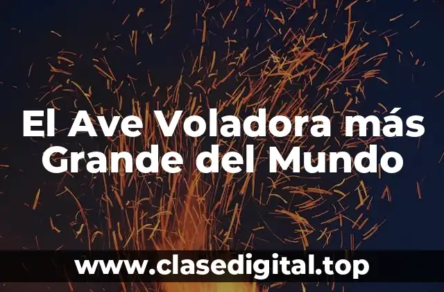 El Ave Voladora más Grande del Mundo