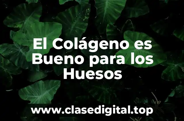 El Colágeno es Bueno para los Huesos