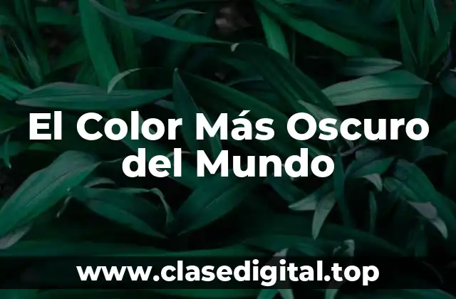 El Color Más Oscuro del Mundo