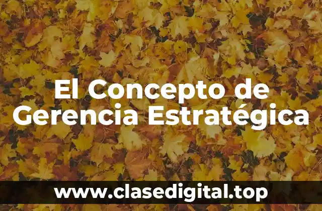 ❄️ Concepto de Gerencia Estratégica