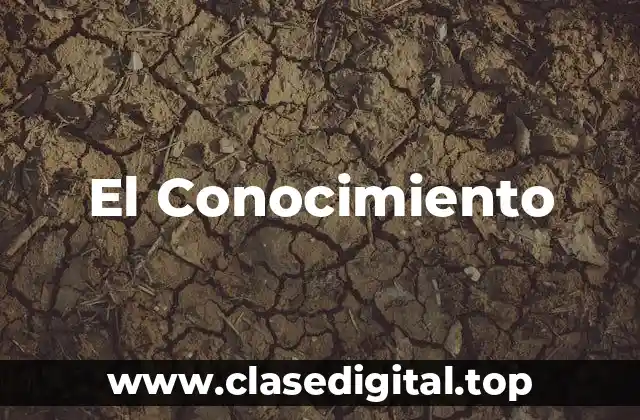 El Conocimiento