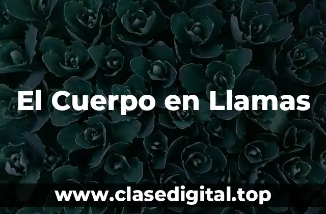 El Cuerpo en Llamas