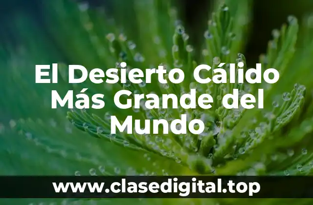 El Desierto Cálido Más Grande del Mundo